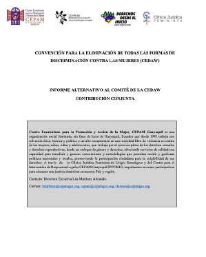 Informe Alternativo al Comité de la CEDAW sobre las barreras que tienen