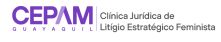 Clínica Jurídica Feminista